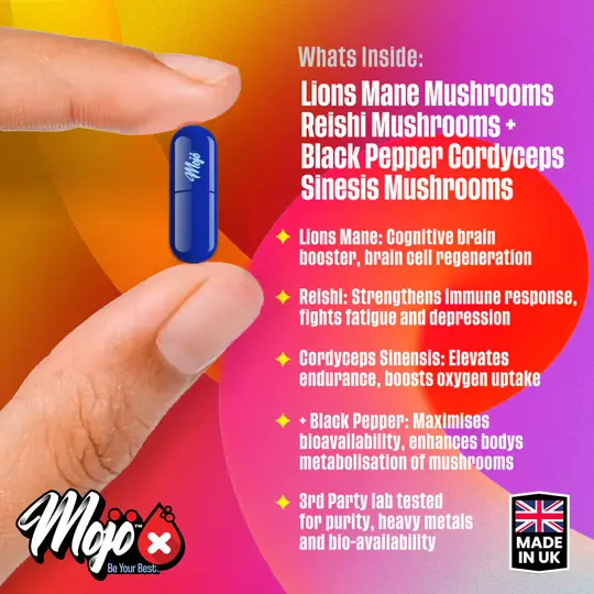 MOJO™ LIONS MIND